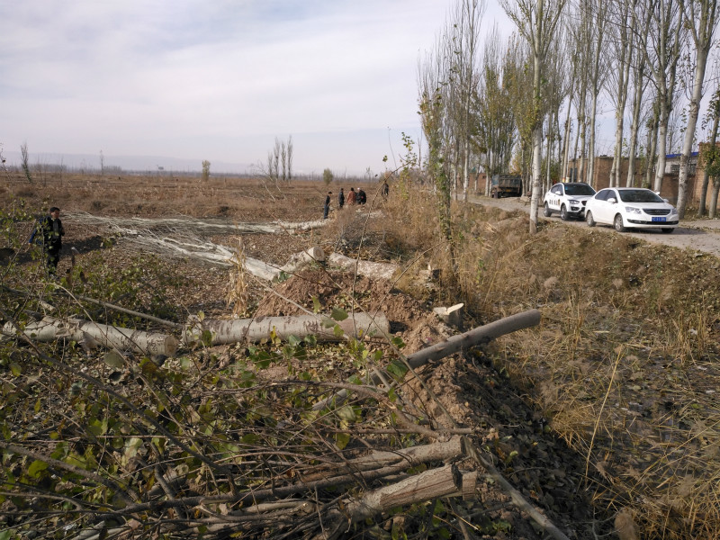 ��ͨ���鴦һ���Ŀ��ҷ�����